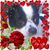 Kimberly Hardway's profile image