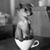 Sherrie Dalrymple Gilliam's profile image