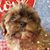 Allen Hayes's profile image