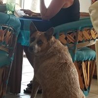 Lori Morrison's profile image