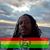 Daryl Jackson's profile image