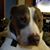 Gary Peaslee's profile image