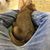 Skyler Houseal's profile image
