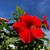 Mariposa Bella's profile image
