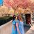 Morgan Trumbull's profile image