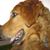 Mariaeva Garland's profile image