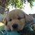 Karen Stephens Shipley's profile image