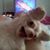 Beda King's profile image