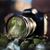 Karen Mootz's profile image