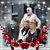 Susan Matthiesen's profile image