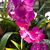 Patricia Jones Dean's profile image