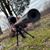 Wesley Hale's profile image