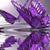 Rebekah Huggins's profile image