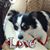 Kathy Shannon's profile image
