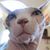 Carmen Bowman's profile image