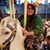 Diana Marisol's profile image