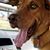 Kaye Daun Sorenson's profile image