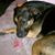 Emily Michelle Verrill's profile image