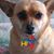 Eric Wibbeler's profile image