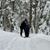 Lori Clayton's profile image