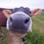 Tracy Lynn Hall's profile image