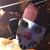 Chris Mclain's profile image
