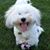 Jennifer Goldstein Lourie's profile image