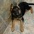 Rick Yussuf's profile image