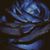 Heather Gumbiner's profile image