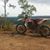 Ashley Craig Gullett's profile image