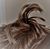 Jack McCoy's profile image