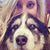 McKenzie McConaha's profile image
