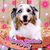 Sondra Narmont's profile image