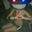 Abner Bollozos's profile image