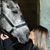 Keely Sorrows's profile image
