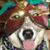 Jennifer Olson's profile image