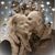 Lisa Musick Cole's profile image