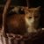Debbie Bartell's profile image