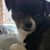 Wendy Sue's profile image