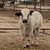 Jarrett Webb's profile image