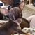 Scott N Lori Williams's profile image