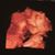 Jessica Cardenas's profile image