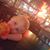 Lori Burch's profile image