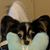 Green Roswitha's profile image
