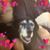 Denise Buchanan's profile image