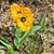 LaDonna Wade Polley's profile image