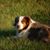 Jodie Reynolds's profile image