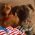 Todd M. Barresi's profile image