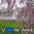 Phuong Lamphuong's profile image