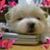 Alberta Kincaid's profile image